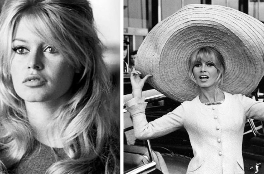  Mit 88 sieht Brigitte Bardot genauso schön und elegant aus!