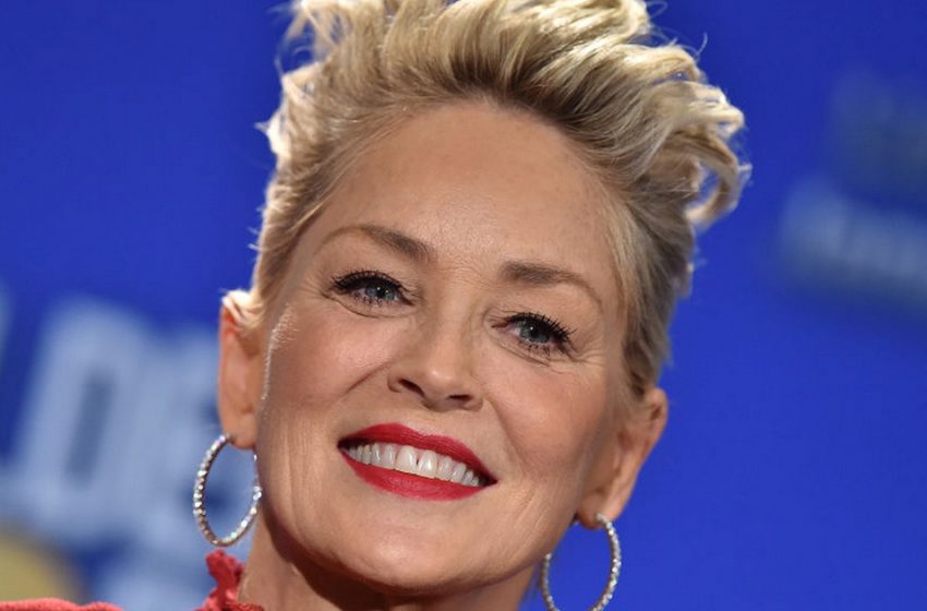  Erregte die ganze Aufmerksamkeit. Sharon Stone erschien in einem scharlachroten Anzug mit einer riesigen Blume auf einer Dinnerparty