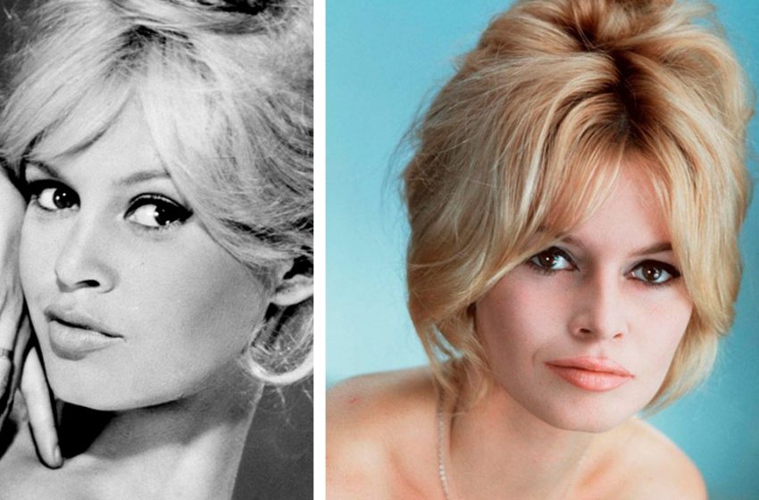  „Man muss für die kleinen Dinge leben“: Wie sieht und lebt die Schönheit Brigitte Bardot heute aus?