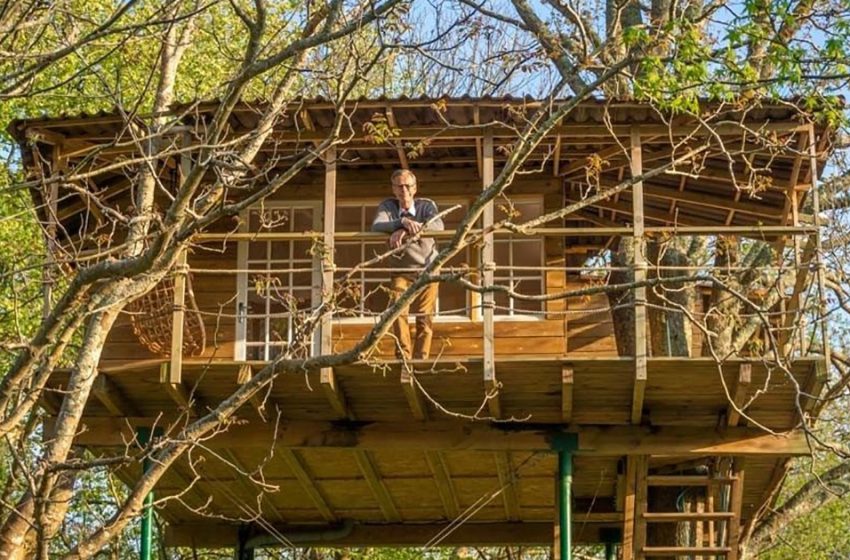  Ist dieses Baumhaus das beste Rentnerprojekt? Der Mann entschied sich, den Traum seines Lebens zu erfüllen
