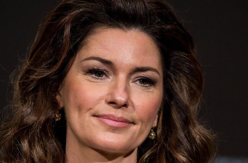  Certains utilisateurs critiquent le visage “plastique” de Shania Twain, affirmant qu’elle ne semble pas être elle-même