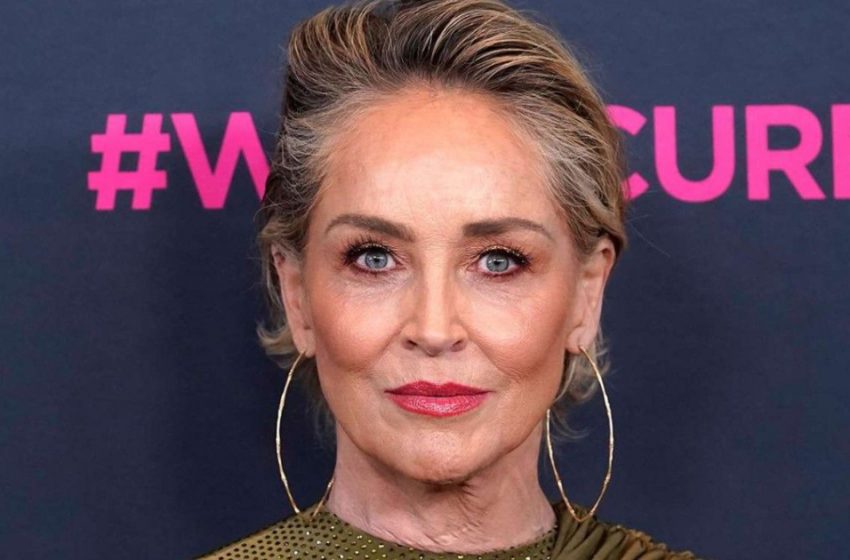  “Fans konnten dieses Detail nicht übersehen: Warum stehen die Bikini-Aufnahmen der 65-jährigen Sharon Stone an der Spitze der meistdiskutierten Themen?”