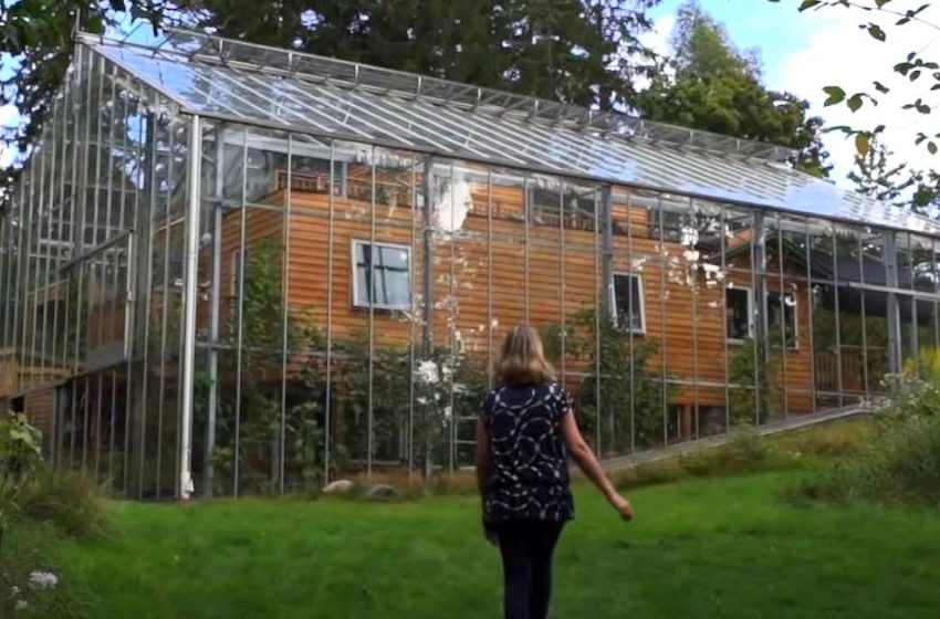  Die Familie träumte davon, ihren Garten und ihr Zuhause das ganze Jahr über warm zu halten: Also haben sie um das Haus herum ein schönes Gewächshaus gebaut!