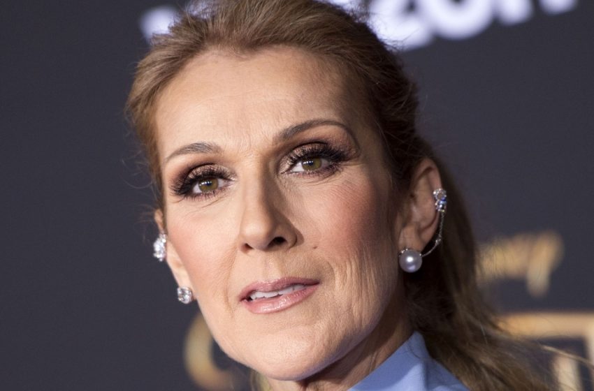  “Jeder Schritt scheint eine Qual für den geschwächten Star zu sein”: Céline Dion stand auf Absätzen, trotz ihrer gesundheitlichen Probleme!