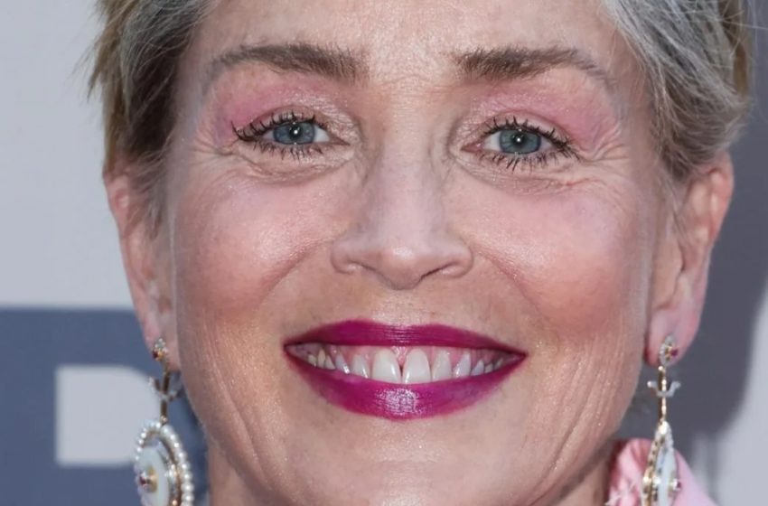  “Eine grauhaarige Großmutter mit Kopftuch”: Sharon Stone verblüffte Fans mit ihrem ungewöhnlichen Aussehen!