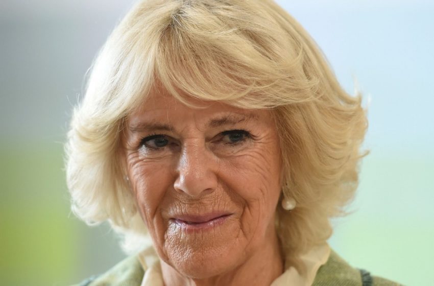  Das blaue Outfit und die schwarzen Handschuhe von Queen Camilla bei einem königlichen Engagement sorgten für viele Diskussionen: Viele spekulierten darüber, warum sie dieses Outfit trug!