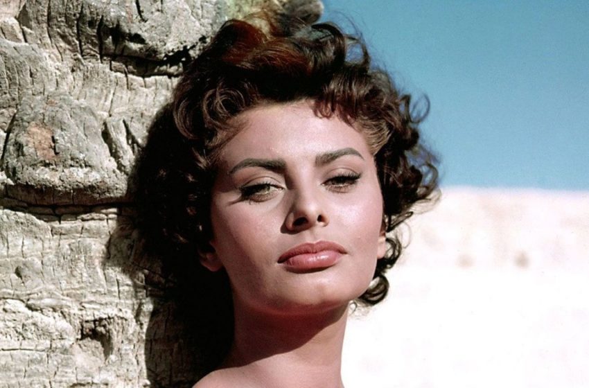  “Von einer atemberaubenden Schönheit zu einer alten Dame”: Die 88-jährige Sophia Loren ist jetzt kaum wiederzuerkennen!