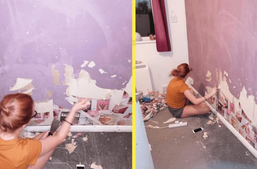  Ein Teenager-Mädchen riss die Tapete in ihrem Schlafzimmer ab und entschied sich, die Renovierung selbst zu übernehmen: Das Ergebnis ist so beeindruckend!