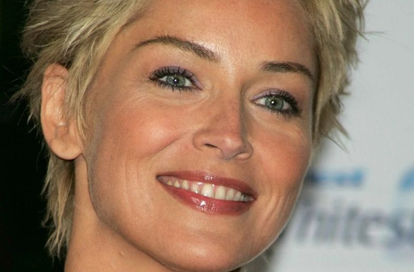  65-jährige Sharon Stone in einem freizügigen Bikini: Ein Detail erregte die Aufmerksamkeit aller!