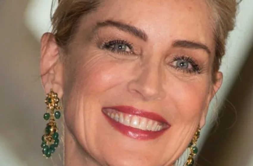  „Bitte, zieh dich an!“: Sharon Stone wurde für ihren gewagten Nackt-Look mit 66 Jahren kritisiert!