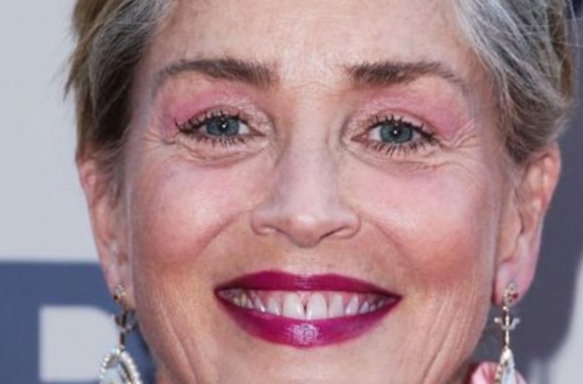  „Auf High Heels und im freizügigen Bikini“: Sharon Stone zeigte, wie eine 66-jährige Frau aussehen sollte!