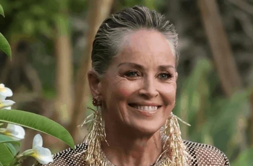  „Die Frau, die nicht älter wird“: Die 66-jährige Sharon Stone sorgte mit ihrem transparenten Outfit für Aufsehen!