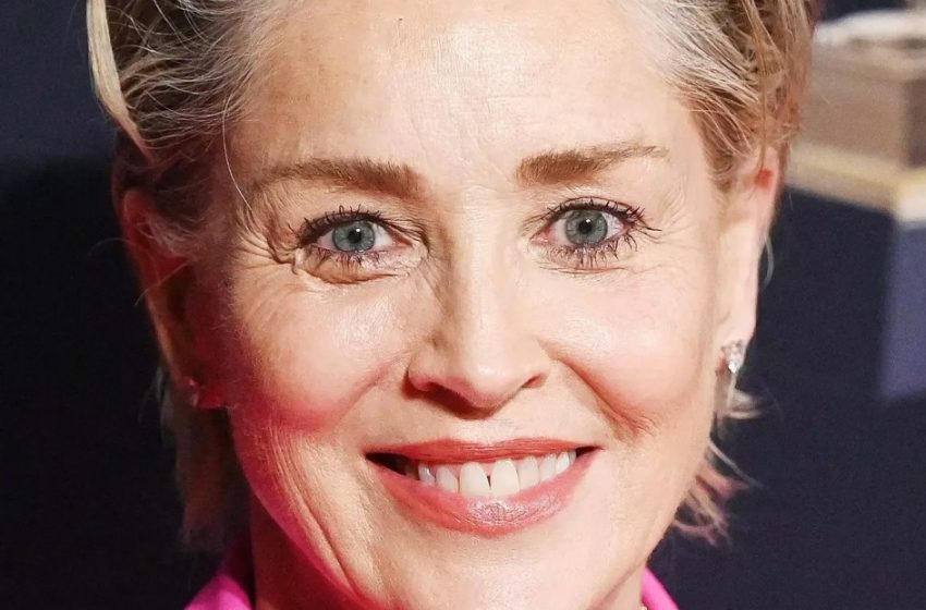  „Alle reden über ein bestimmtes Detail“: Die 66-jährige Sharon Stone besuchte das Filmfestival in einem superkurzen Mini-Kleid!