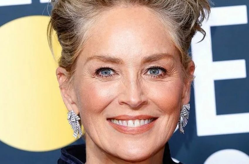  Die 66-jährige Sharon Stone posierte oben ohne für das Cover eines Modemagazins und begeisterte ihre Fans: Die kühnsten Fotos von Stone, die du je gesehen hast!