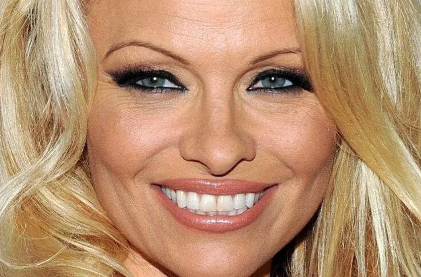  „Pamela Andersons Söhne: Herzthrob oder ‘hässliche Entlein’?”: Wie sehen sie aus?