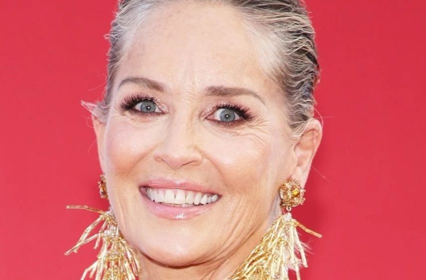  Die 66-jährige Sharon Stone teilt Pool-Aufnahmen, Kritiker sagen: „Es ist Zeit, sich zu bedecken!“: Wie sieht sie aus?