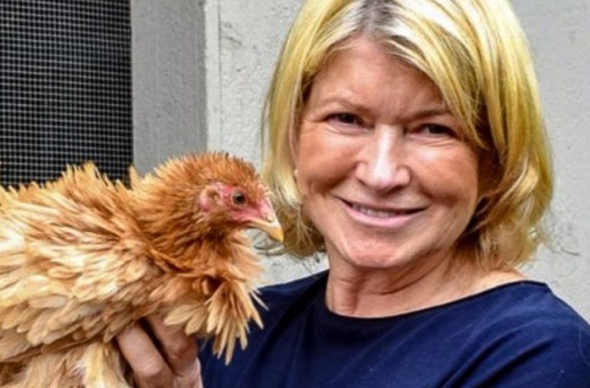  Martha Stewart, 80, von Badeanzugkritik zur liebenden Großmutter auf dem Bauernhof: Wie sieht sie heute aus?