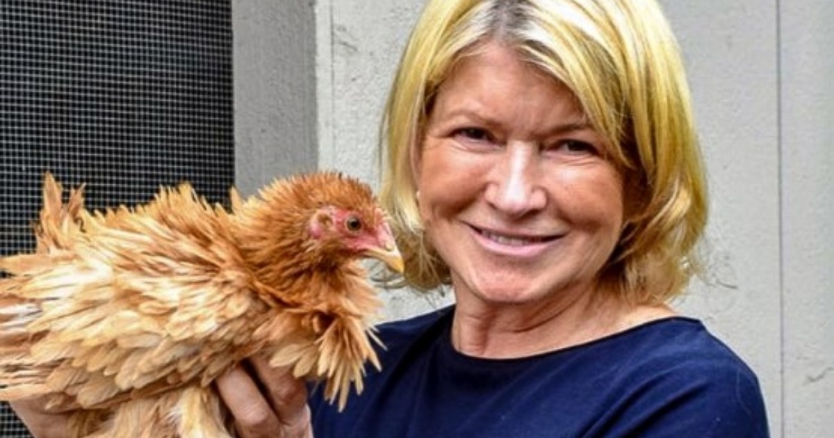 Martha Stewart, 80, von Badeanzugkritik zur liebenden Großmutter auf dem Bauernhof: Wie sieht sie heute aus?