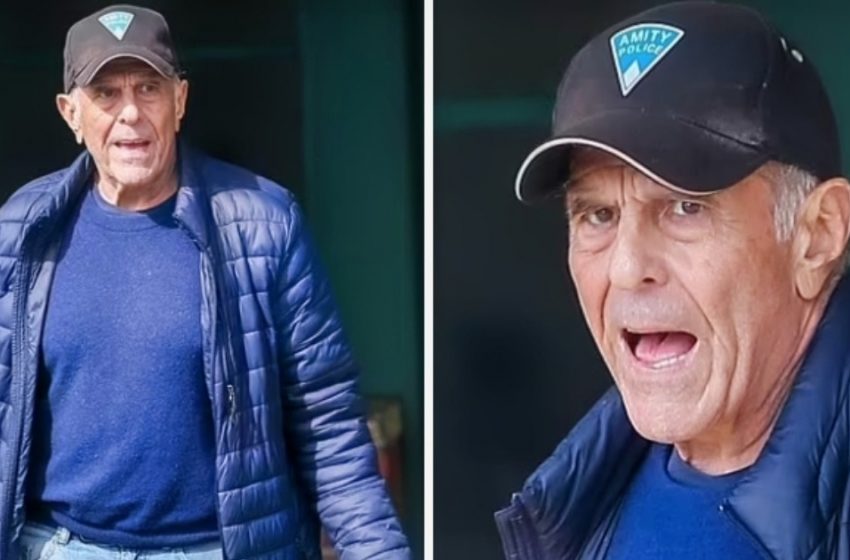  Der 79-jährige Star in LA gesichtet, kaum wiederzuerkennen: Sein Hut deutet auf eine ikonische Rolle hin – Wer ist er?