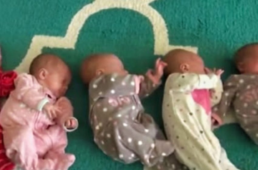 „Sie wollten es ein letztes Mal mit einem Mädchen versuchen – und bekamen Fünflinge“: Doch das war nicht die einzige Überraschung!