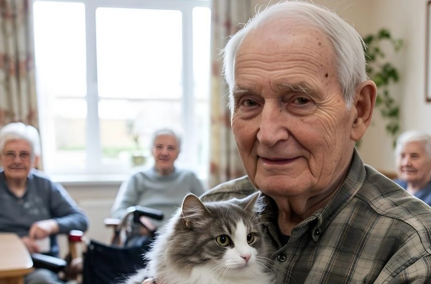  Die unzertrennliche Bindung der Pflegeheim-Katze!: Die herzzerreißende Wahrheit nach seinem Tod enthüllt