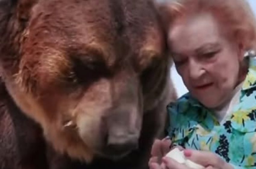  Erinnerung an Betty White: Die Schauspielerin, die einst einen riesigen Grizzly küsste!