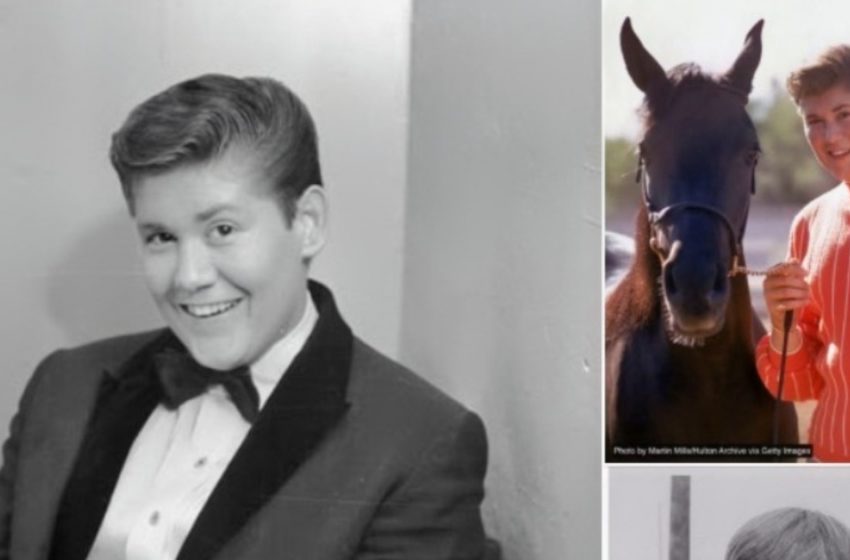  Vom Teenie-Schwarm zur Gesangslegende: Er verlor sein Vermögen, fand aber die wahre Liebe, die ihm nie von der Seite wich!: Wer ist er?