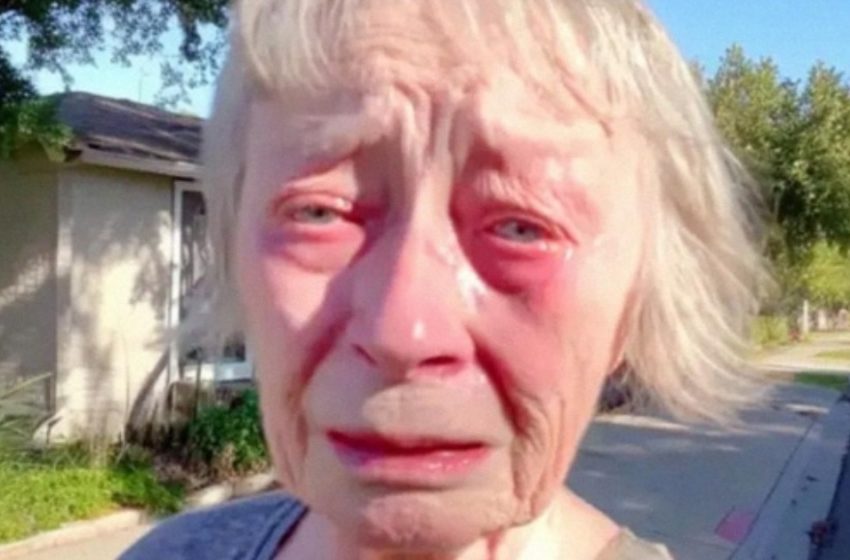  Ich verkaufte mein Haus für die Traumhochzeit meiner Enkelin!: Als sie mich ausschloss, brachte ich ihr eine Lektion bei, die sie nie vergessen wird!