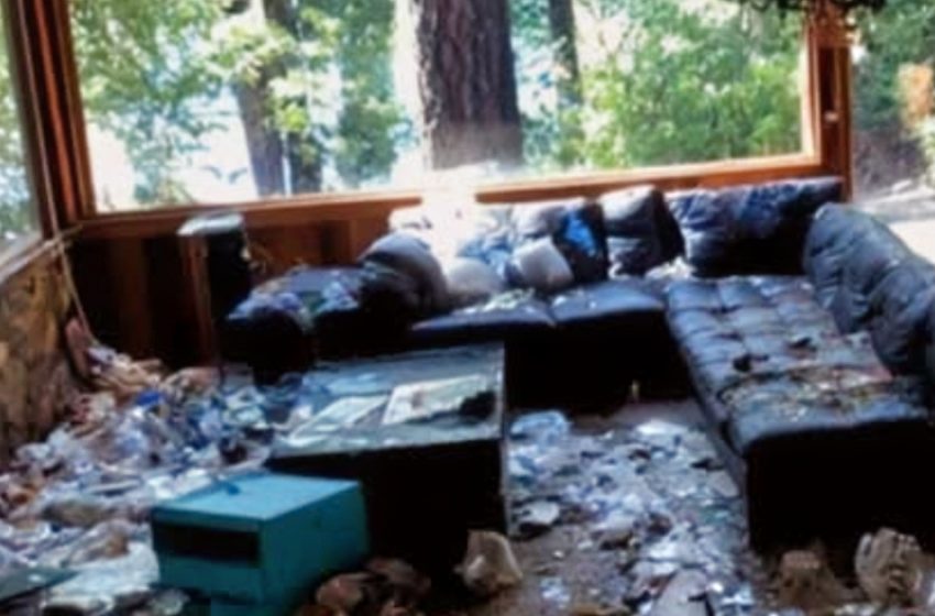  Ich kam am Jahrestag des Todes meiner Mutter zu ihrem Seehaus nach Hause!: und fand meine Stiefmutter und ihre Freunde dabei, alles zu entweihen, was sie liebte